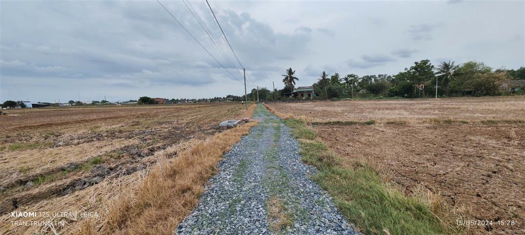 Bán gấp lô đất thổ lúa gần Quốc Lộ 50B hạ giá 4 tỷ