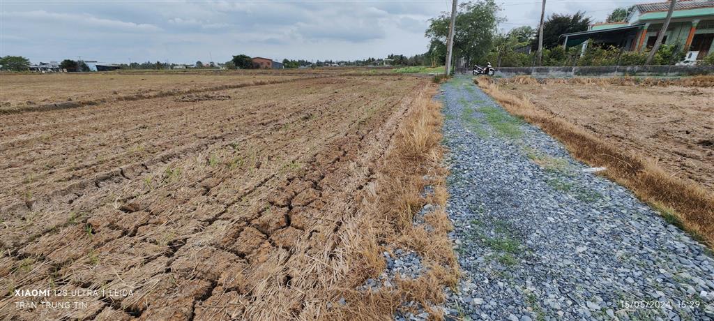 Bán gấp lô đất thổ lúa gần Quốc Lộ 50B hạ giá 4 tỷ