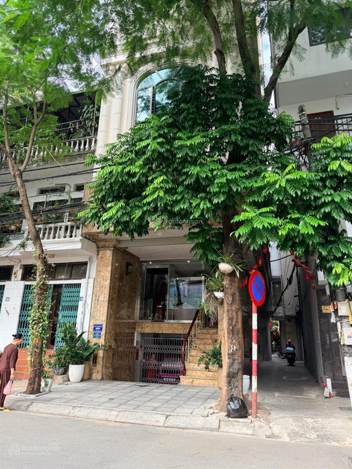 Bán nhà mặt phố trần tử bình  9 tầng  thang máy  kinh doanh hái ra tiền  60
