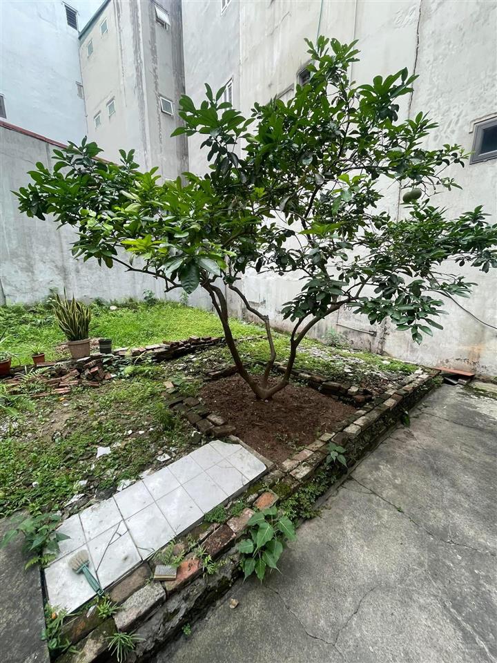 Bán đất hoàng quốc việt  ô tô qua cửa  gần mặt phố  xây cmnn, biệt thự  90