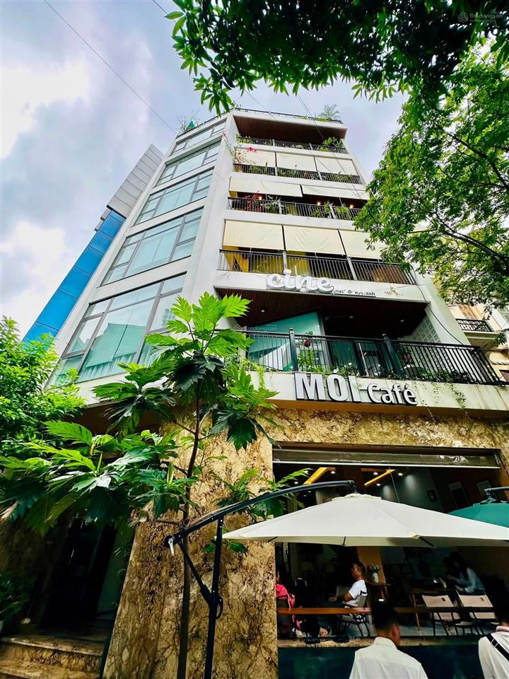 Bán nhà nguyễn khánh toàn  8 tầng thang máy  lô góc  2 mặt ngõ  ô tô tránh  view thoáng