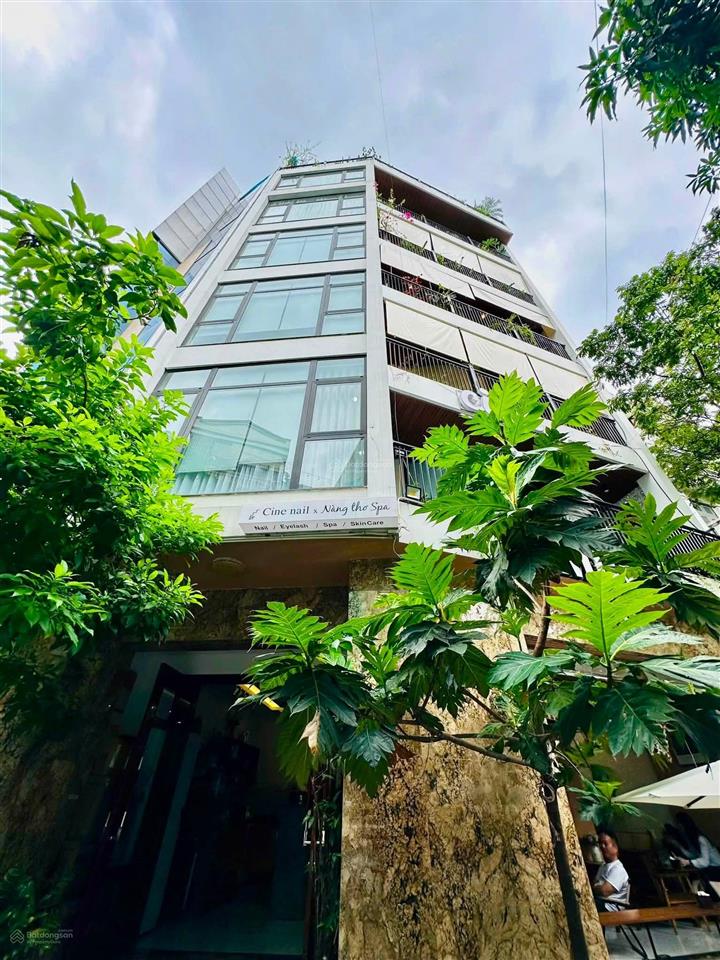 Bán nhà nguyễn khánh toàn  8 tầng thang máy  lô góc  2 mặt ngõ  ô tô tránh  view thoáng