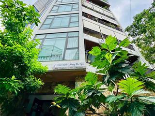 Bán nhà nguyễn khánh toàn  8 tầng thang máy  lô góc  2 mặt ngõ  ô tô tránh  view thoáng