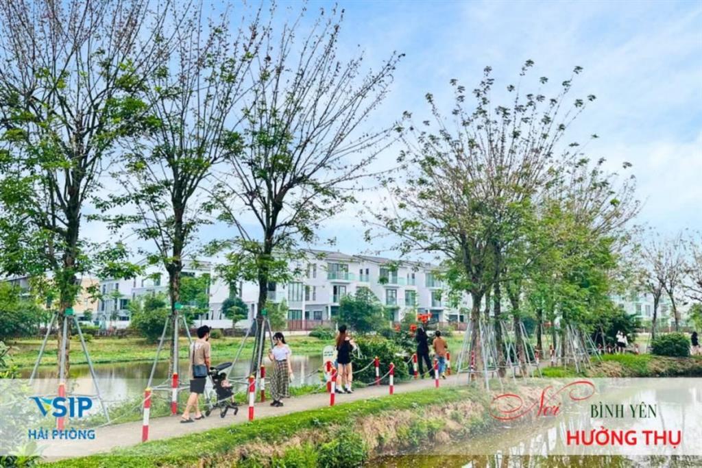 Bán shophouse căn góc siêu đẹp tại the greenery 2 hải phòng, 14,1 tỷ, 124m2, 6pn + 3wc