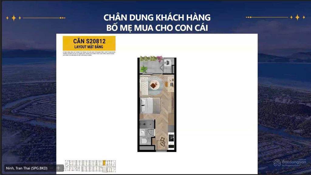 Chỉ 650 triệu sở hữu căn hộ tầng cao view sông, pháo hoa, nh hỗ trợ 70%, 0% ls 30 tháng, ck 20%