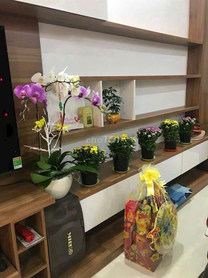 KDC dương hồng DT 5m x 20m 1 hầm 4 tầng 