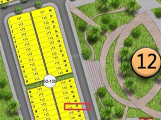 Bán đất công viên cổ cò giá 11 tỷ 112.5m2 sun group