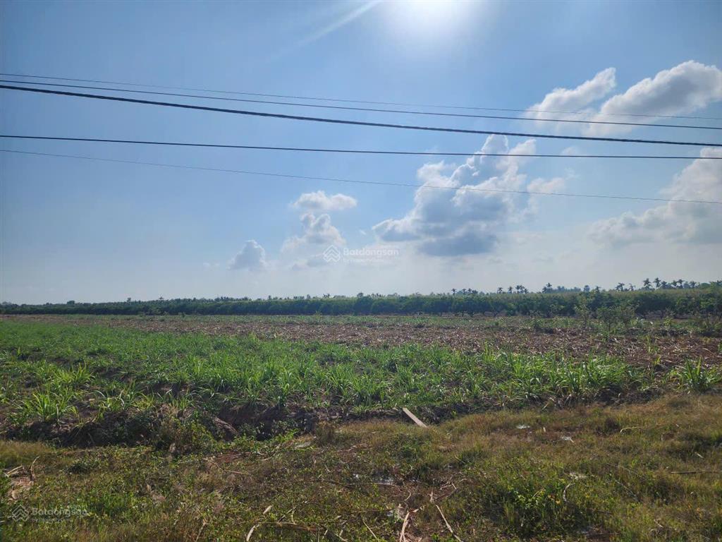 Sang lại 30.000m2 đất sổ riêng có 2 mặt tiền sông cách tỉnh lộ 933b đúng 200m giá 160 triệu/công