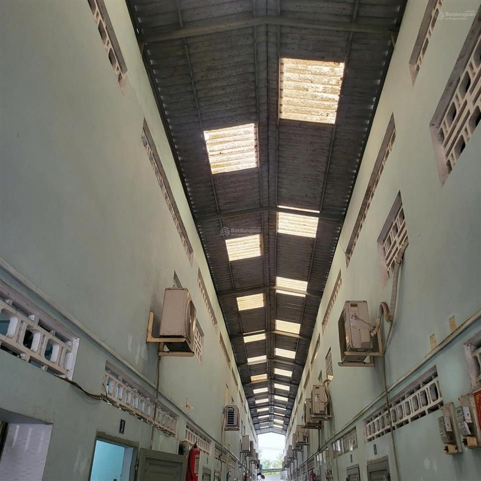 Bán gấp dãy trọ 24 phòng tại p.long an, tây ninh giá chỉ từ 3 tỷ, tdt 681 m2. ngân hàng hỗ trợ 70%