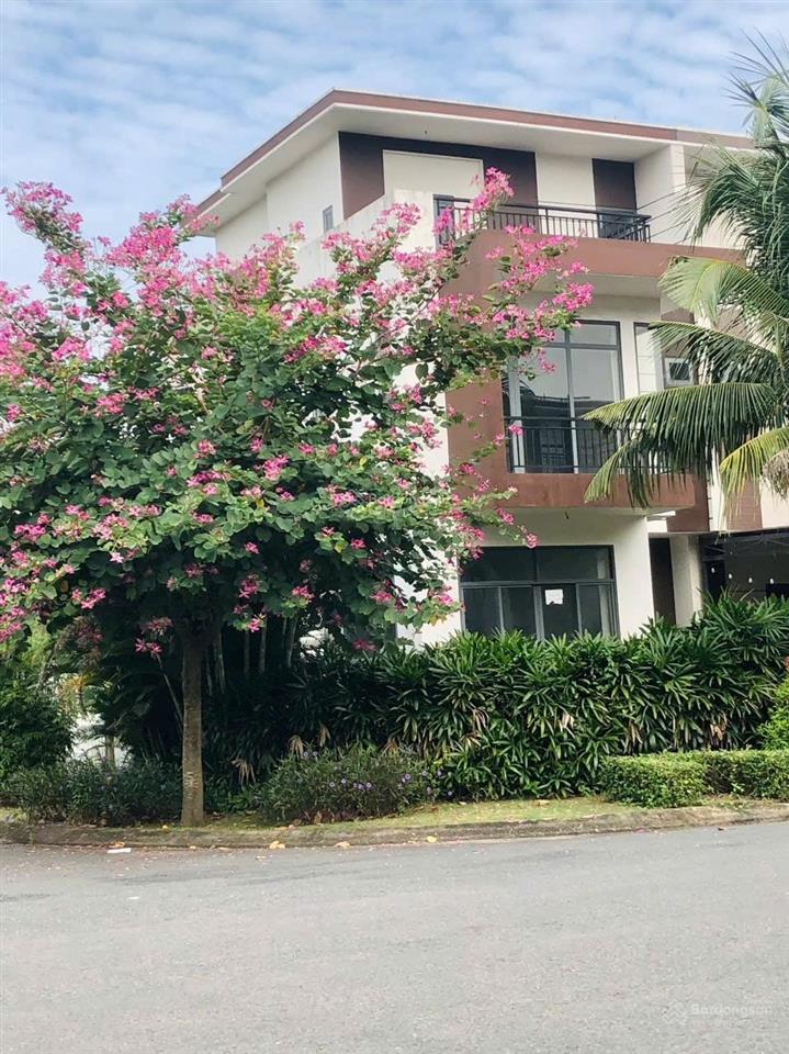 Bán gấp căn nhà phố 1 trệt 1 lững 1 lầu, sổ hồng riêng. giá 1,6 tỷ, ngay thị trấn bến lức