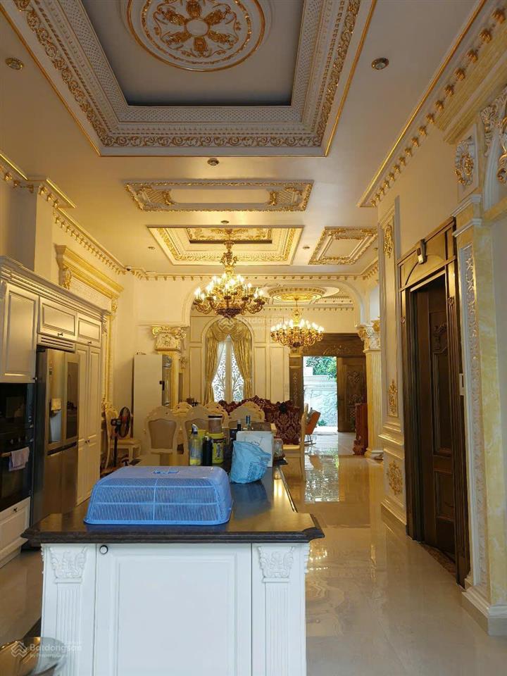 Chính chủ bán biệt thự ngay trung tâm tân bình, có hồ bơi, sân vườn. giá tốt, có thương lượng