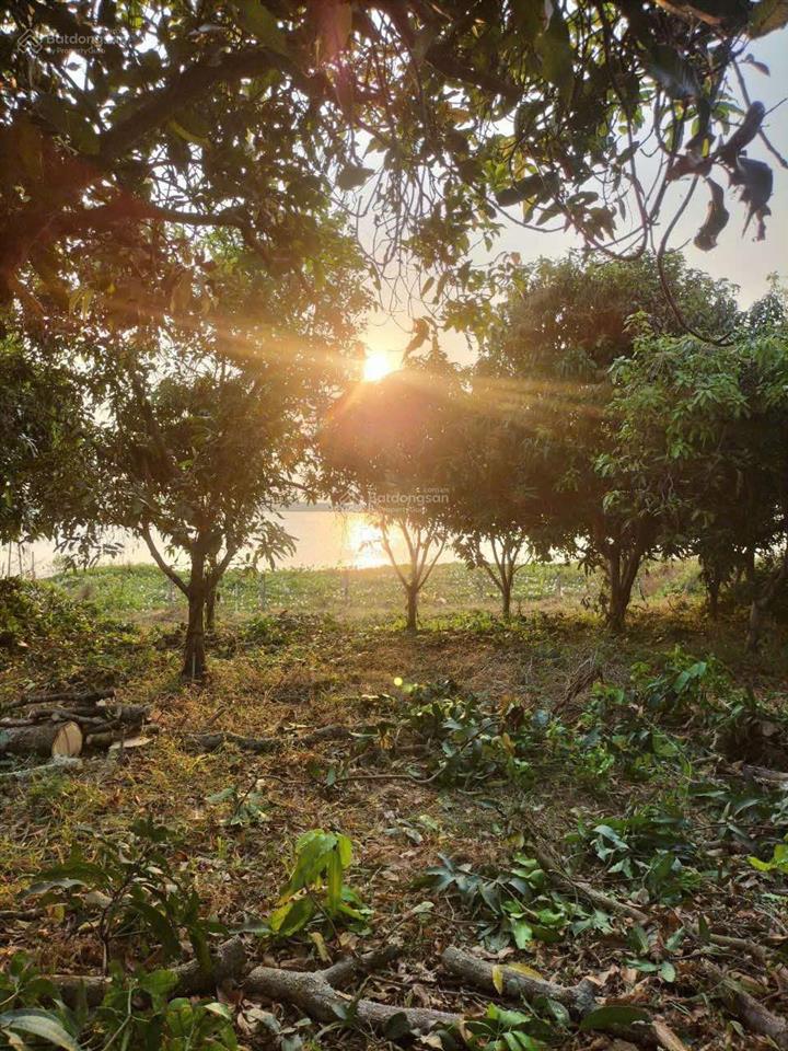 Đất vườn nghỉ dưỡng ngay mặt hồ trị an thơ mộng  đường rộng rãi  ngay khu dân cư