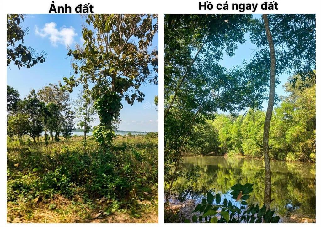 Đất vườn nghỉ dưỡng ngay mặt hồ trị an thơ mộng  đường rộng rãi  ngay khu dân cư