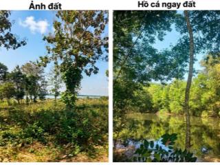 Đất vườn nghỉ dưỡng ngay mặt hồ trị an thơ mộng  đường rộng rãi  ngay khu dân cư