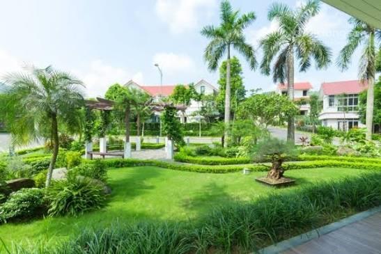 Bán biệt thự xanh villas, 60 triệu / m2, 279 m2 ở thạch thất, hà nội.  0941 341 ***