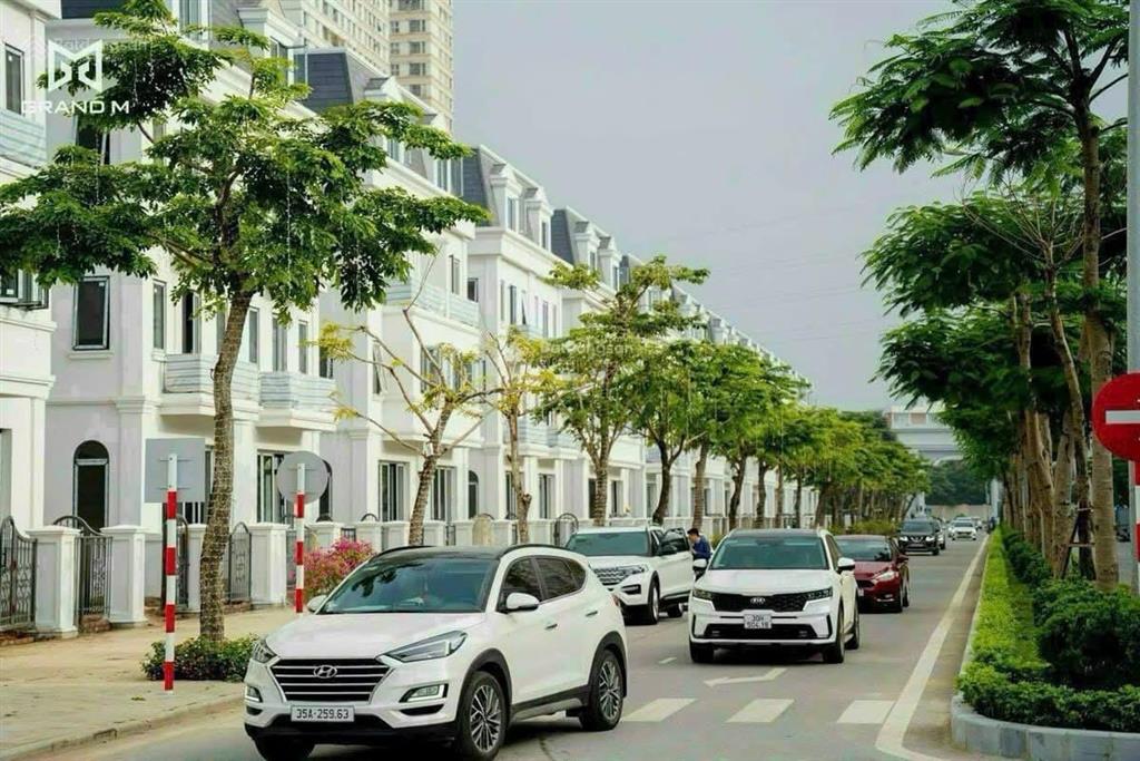 Cđt nam cường mở bán biệt thự solasta mansion chiết khấu lên tới 35%.  0941 341 ***