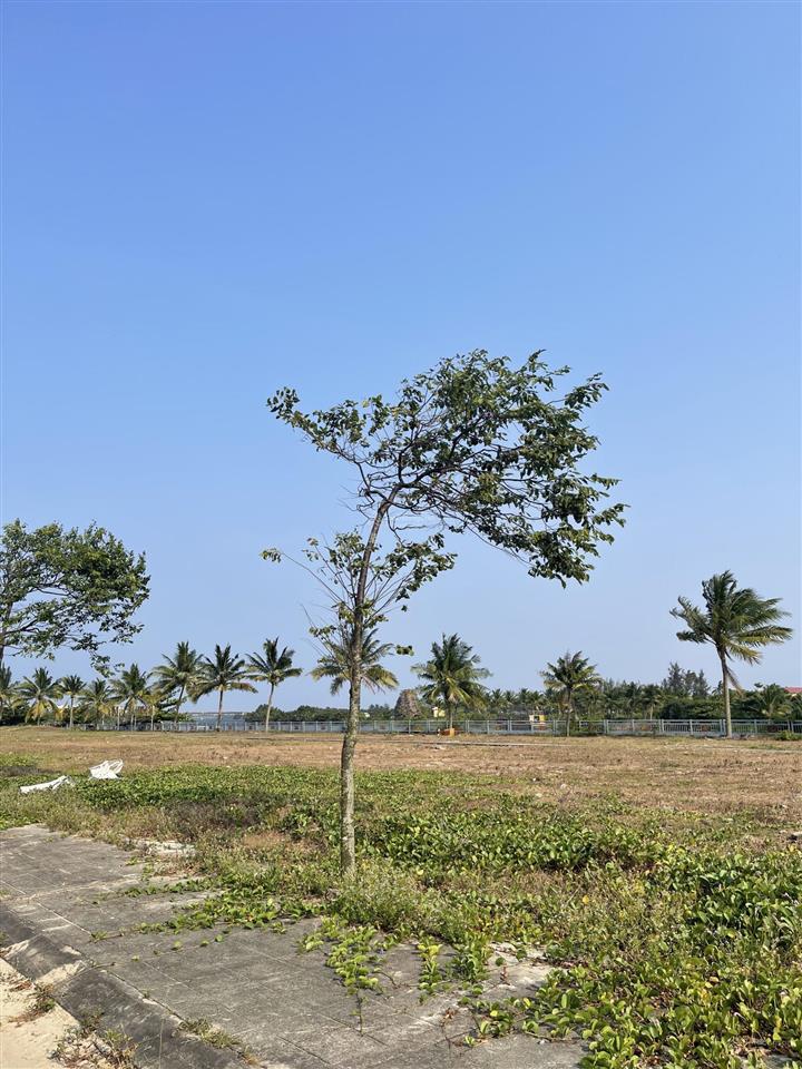 Chào bán lô đất làng chài biển tân thành  hội an tây.