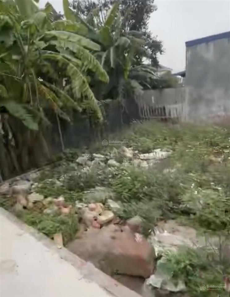 Bán đất 50m2 tràng duệ an dương hải phòng