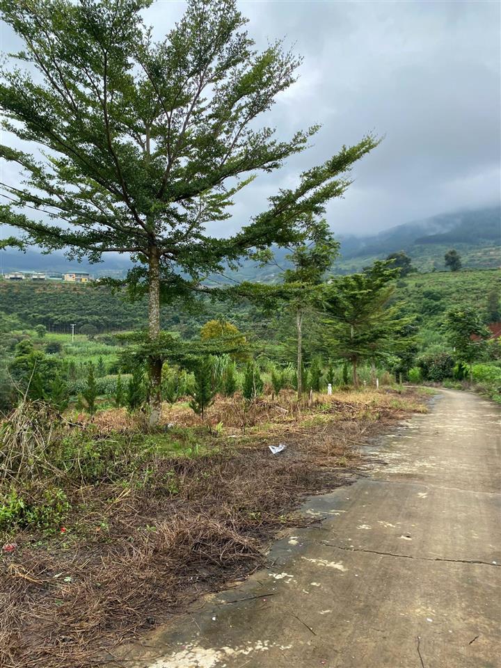 Bán đất tại đinh văn lâm hà, 1,4 tỷ, 674m2, giá siêu hời