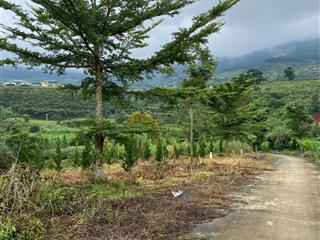 Bán đất tại đinh văn lâm hà, 1,4 tỷ, 674m2, giá siêu hời