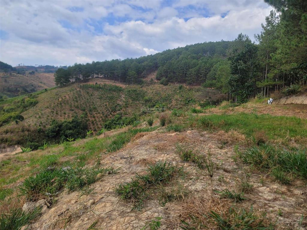 Bán đất tại cam ly, đà lạt, 5,5 tỷ, 6525 m2, giá siêu hời, uy tín
