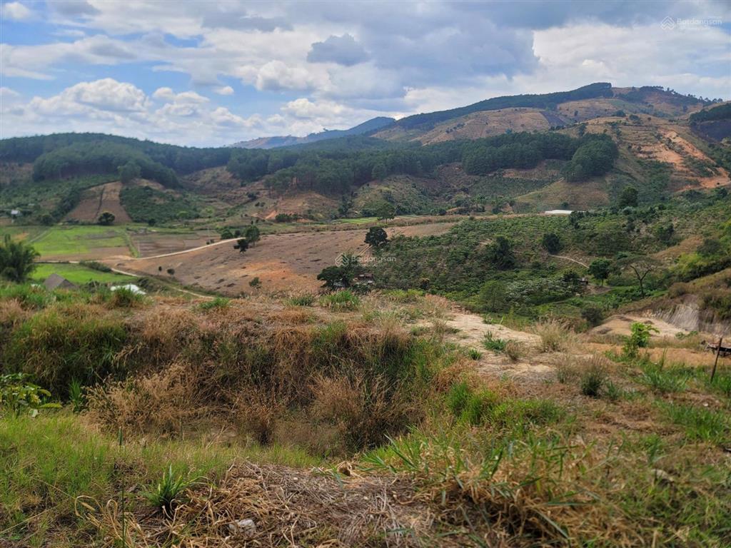 Bán đất tại cam ly, đà lạt, 5,5 tỷ, 6525 m2, giá siêu hời, uy tín