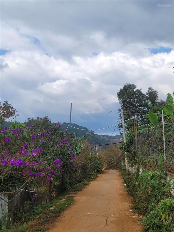 Bán đất tại cam ly, đà lạt, 5,5 tỷ, 6525 m2, giá siêu hời, uy tín