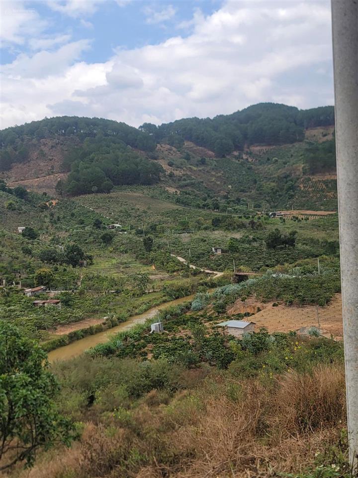 Bán đất tại cam ly, đà lạt, 5,5 tỷ, 6525 m2, giá siêu hời, uy tín