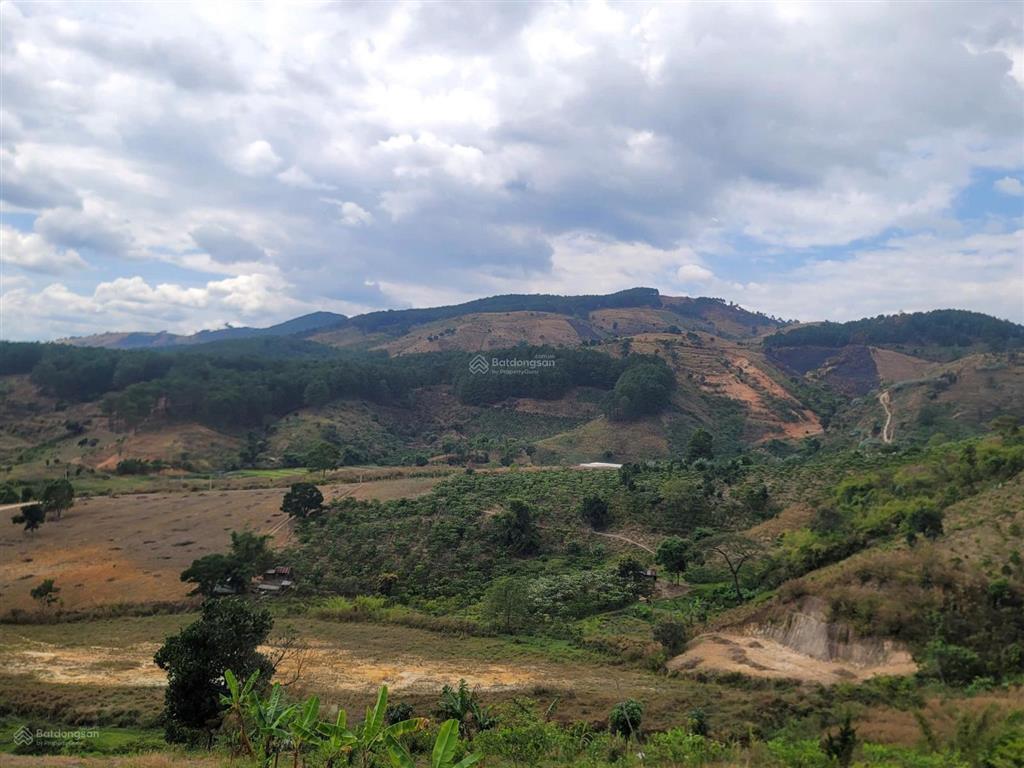 Bán đất tại cam ly, đà lạt, 5,5 tỷ, 6525 m2, giá siêu hời, uy tín