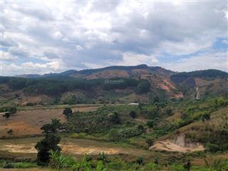 Bán đất tại cam ly, đà lạt, 5,5 tỷ, 6525 m2, giá siêu hời, uy tín