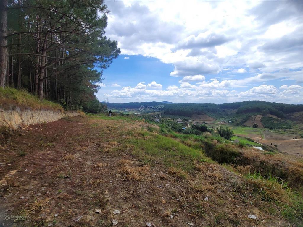 Bán đất tại cam ly, đà lạt, 5,5 tỷ, 6525 m2, giá siêu hời, uy tín