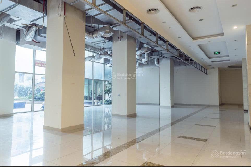 Chủ đầu tư hòa phát cho thuê mặt bằng kinh doanh tại tttm mandarin garden 2