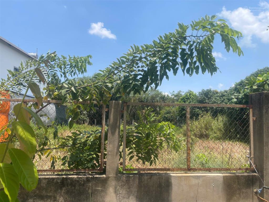 Chính chủ bán nhanh 10x42m full thổ, mặt tiền đường 16m  cách chợ 500m  còn thương lượng