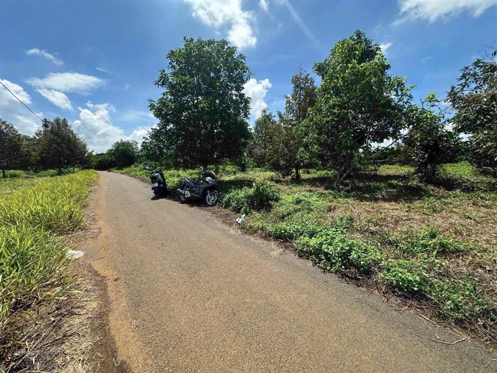 Hàng đầu tư hiếm  mặt tiền tân lạc  full thổ cư  600tr/lô