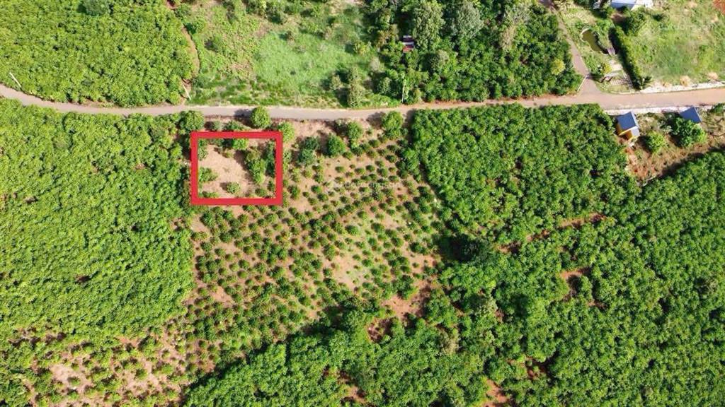 Hàng đầu tư hiếm  mặt tiền tân lạc  full thổ cư  600tr/lô