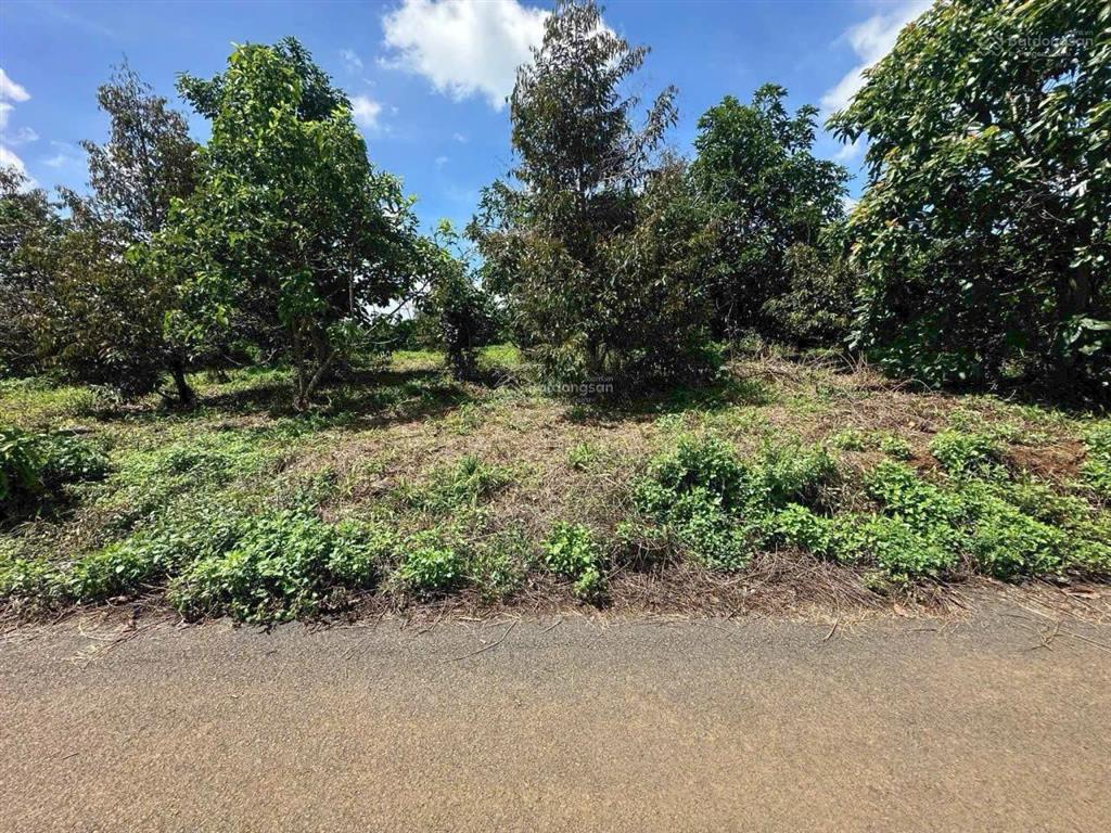 Hàng đầu tư hiếm  mặt tiền tân lạc  full thổ cư  600tr/lô