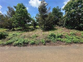 Hàng đầu tư hiếm  mặt tiền tân lạc  full thổ cư  600tr/lô