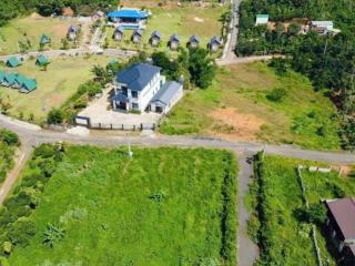 Chủ bán ngộp xả lỗ 1.800m²  220m² thổ cư, gần homestay catus lộc đức, giá chỉ 1,4 tỷ