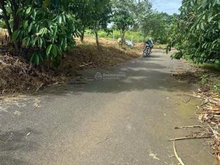 2,8 sào mặt tiền đường nhựa tân lạc, bảo lâm, sẵn thổ cư giá rẻ siêu đầu tư