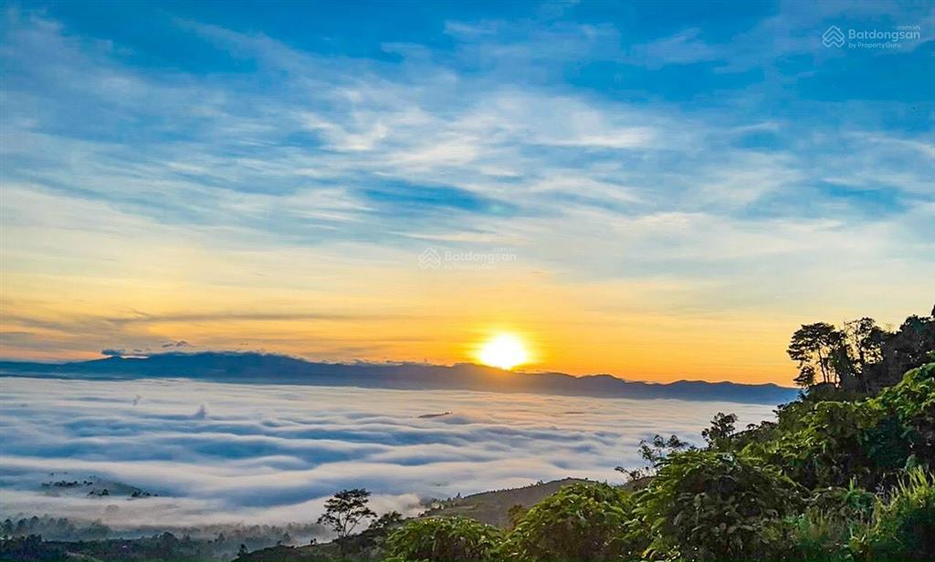 Bán vườn cây ăn trái, view núi đại bình, 2 mặt tiền đường chi lăng kéo dài, 2234m2 giá rẻ