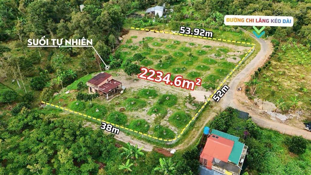 Bán vườn cây ăn trái, view núi đại bình, 2 mặt tiền đường chi lăng kéo dài, 2234m2 giá rẻ