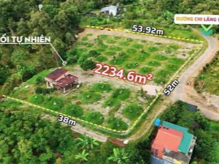 Bán vườn cây ăn trái, view núi đại bình, 2 mặt tiền đường chi lăng kéo dài, 2234m2 giá rẻ