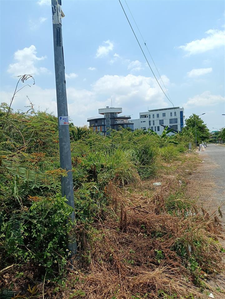 Bán đất tại đông tăng long, giá tốt 19,5 tỷ, 432m2, mặt tiền 15.6m