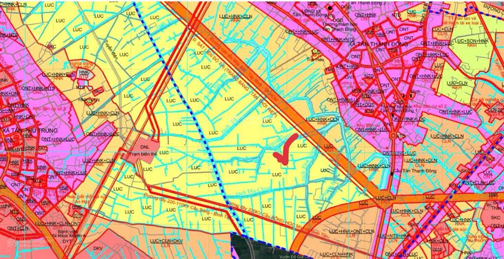 Cần bán 2045m2 đất trồng cây lâu năm, tân thạnh đông, củ chi giá 1tỷ700