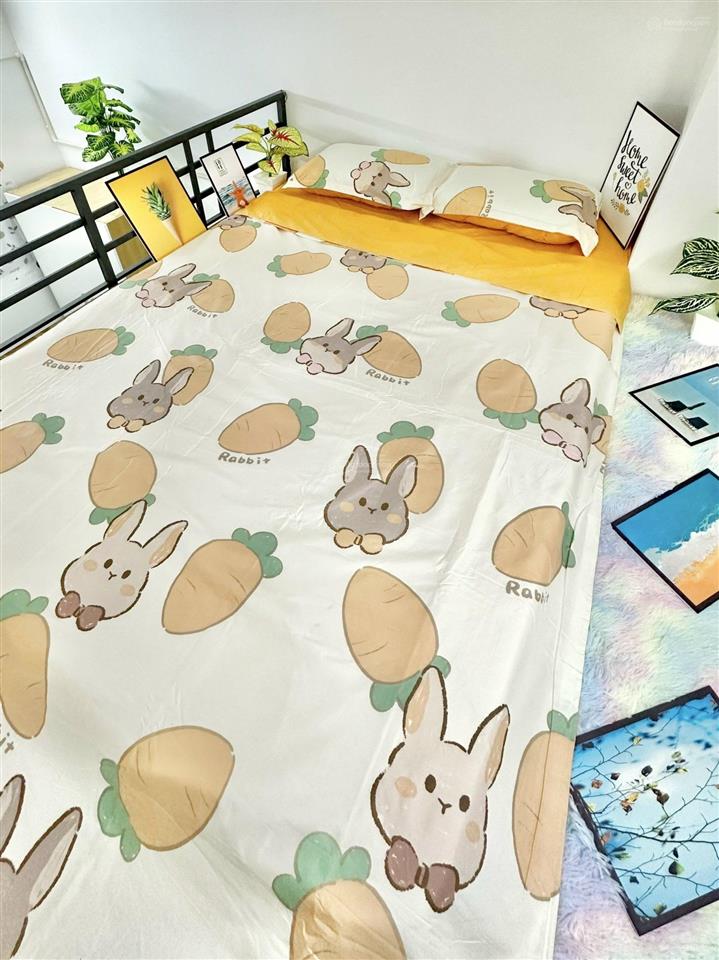 Cho thuê căn hộ duplex full nội thất, gần đại học văn hiến, ngay chung cư bàu cát