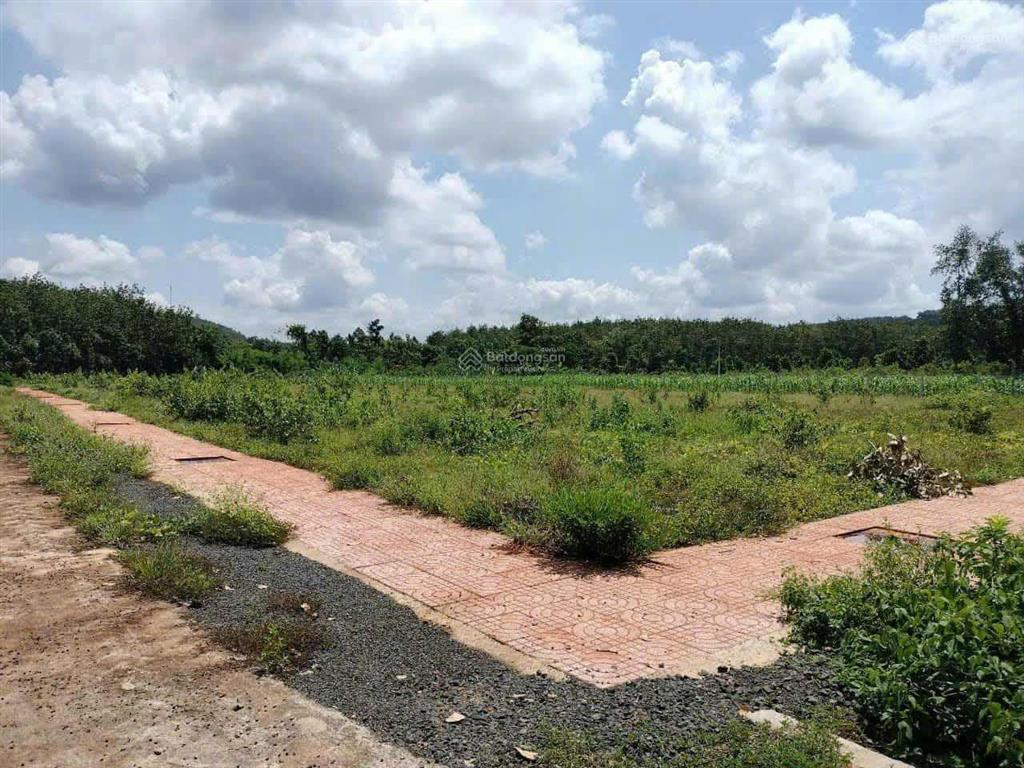 Chính chủ bán lô đất có 100m2 thổ cư chỉ 1tr/m2