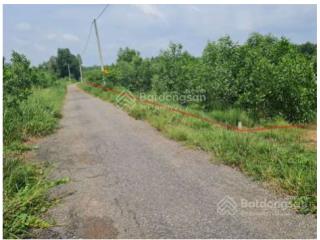 Trục kcn bàu cạn, kcn phú mỹ đất làm xưởng cực đẹp  giá tốt