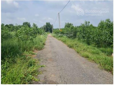 Trục kcn bàu cạn, kcn phú mỹ đất làm xưởng cực đẹp  giá tốt