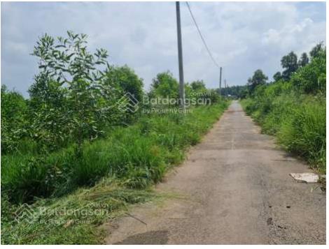 Trục kcn bàu cạn, kcn phú mỹ đất làm xưởng cực đẹp  giá tốt