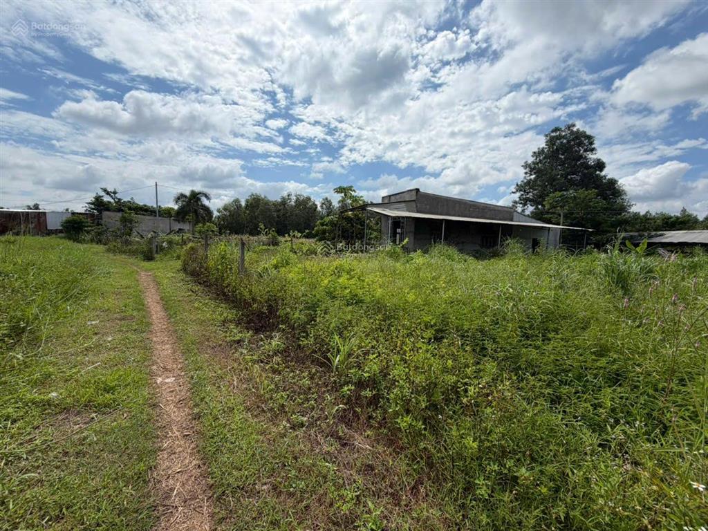 Đất lúa xuân đông, cẩm mỹ, 4.742m2, giá 2,3 tỷ